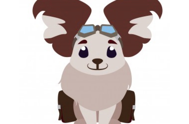 キャンティ ルッコラ ハーブ 植物療法士 代々木 健康 スーパーフード